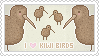 I Heart Kiwi Birds